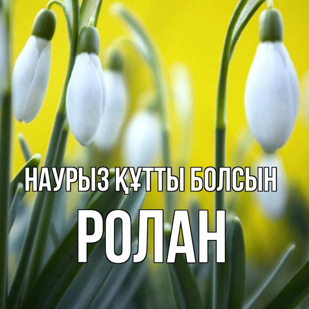 Открытка на каждый день с именем, Ролан Наурыз құтты болсын весенние цветы Прикольная открытка с пожеланием онлайн скачать бесплатно 
