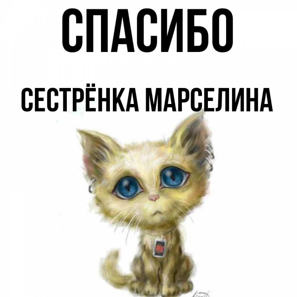 Открытка на каждый день с именем, Сестрёнка-Марселина Спасибо рисованный кот благодарит вас Прикольная открытка с пожеланием онлайн скачать бесплатно 