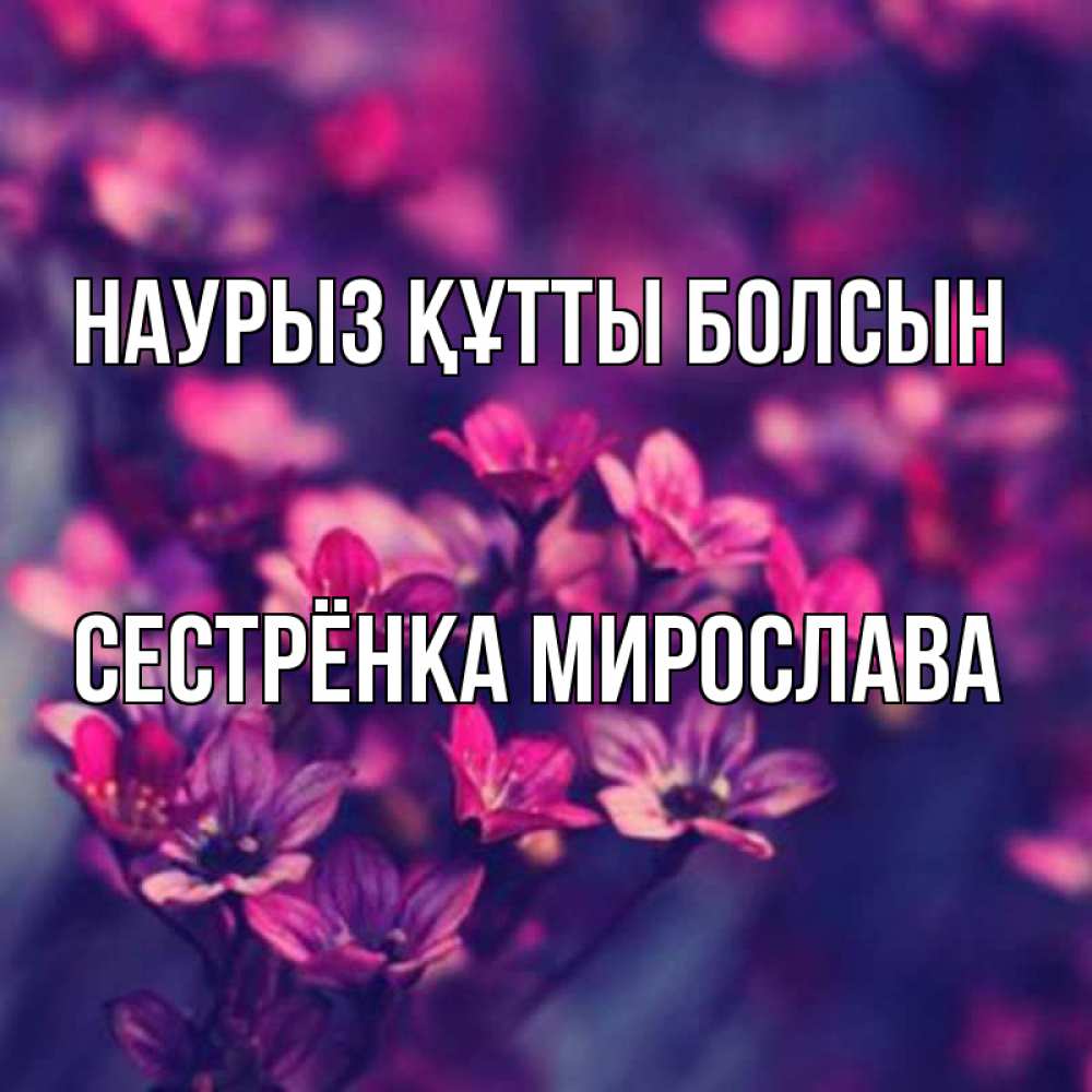 Открытка на каждый день с именем, Сестрёнка-Мирослава Наурыз құтты болсын небольшие цветы 1 Прикольная открытка с пожеланием онлайн скачать бесплатно 