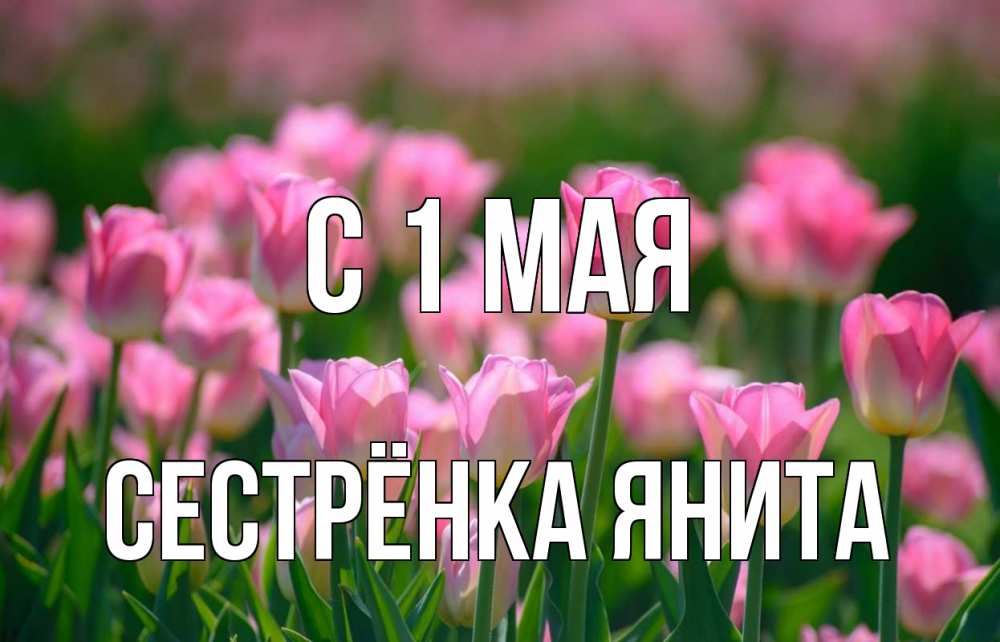 Открытка на каждый день с именем, Сестрёнка-Янита С 1 мая С 1 мая Прикольная открытка с пожеланием онлайн скачать бесплатно 
