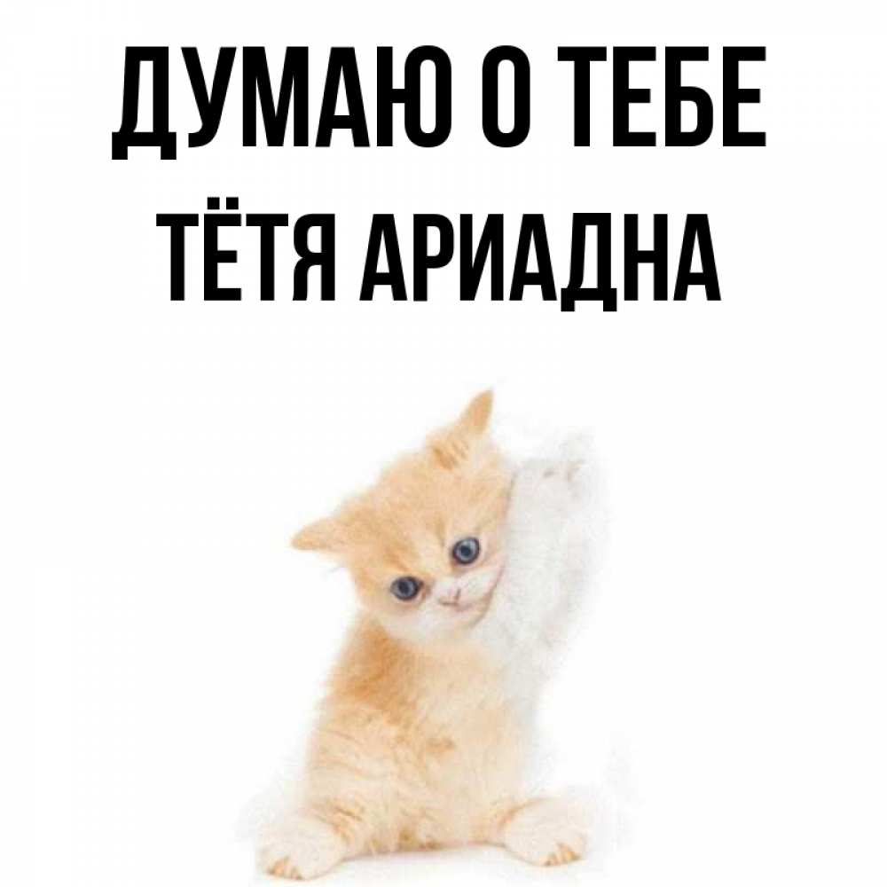 Открытка на каждый день с именем, Тётя-Ариадна Думаю о тебе зверушки и милота Прикольная открытка с пожеланием онлайн скачать бесплатно 