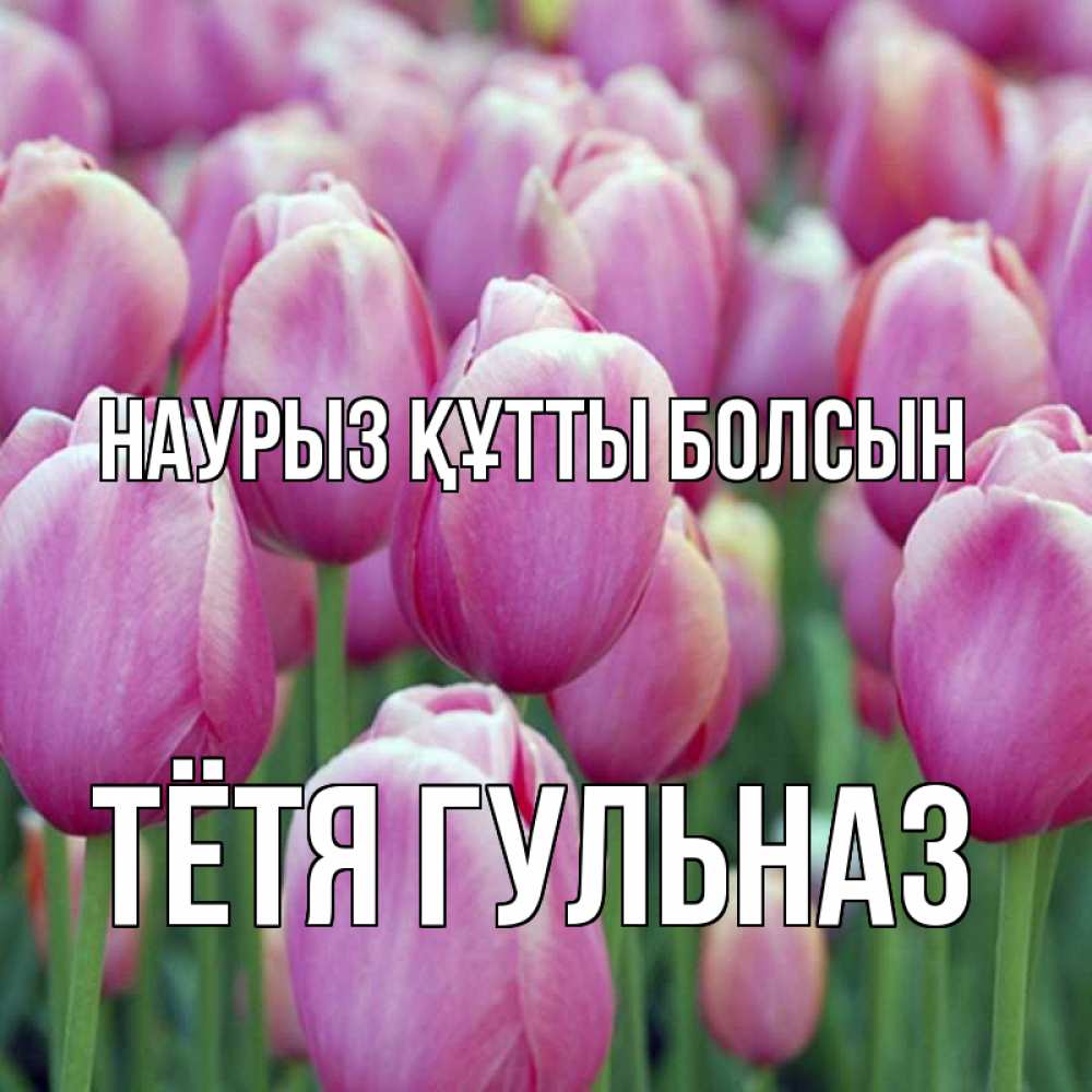 Открытка на каждый день с именем, Тётя-Гульназ Наурыз құтты болсын на наурыз  день 3 Прикольная открытка с пожеланием онлайн скачать бесплатно 