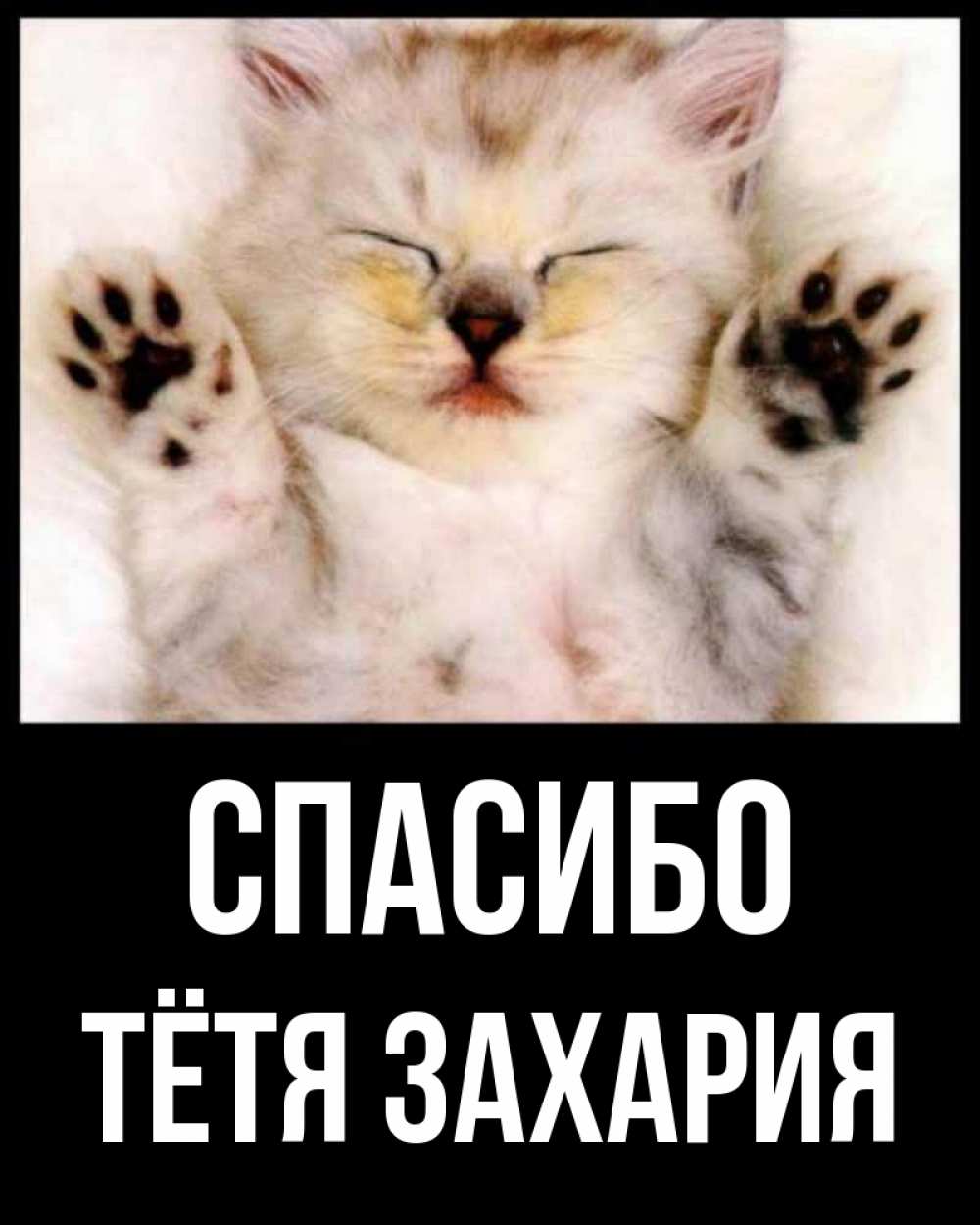 Открытка на каждый день с именем, Тётя-Захария Спасибо маленький котенок Прикольная открытка с пожеланием онлайн скачать бесплатно 