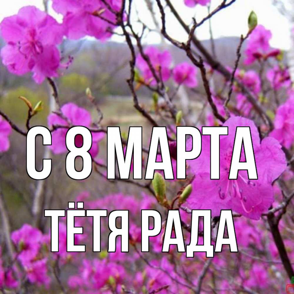 Открытка на каждый день с именем, Тётя-Рада С 8 МАРТА международный женский день Прикольная открытка с пожеланием онлайн скачать бесплатно 