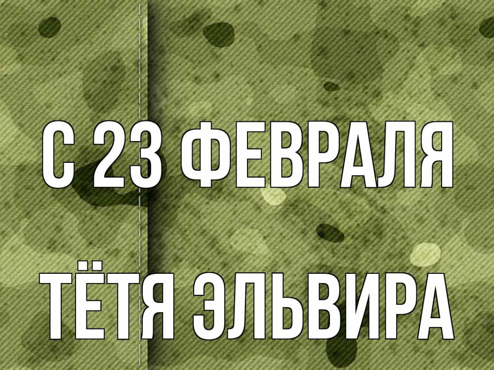 Открытка на каждый день с именем, Тётя-Эльвира С 23 февраля 23 февраля Прикольная открытка с пожеланием онлайн скачать бесплатно 