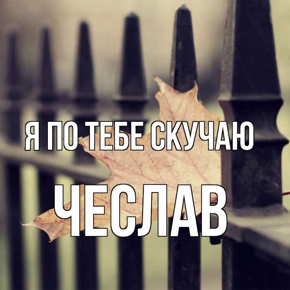 Открытка на каждый день с именем, Чеслав Я по тебе скучаю очень скучно Прикольная открытка с пожеланием онлайн скачать бесплатно 