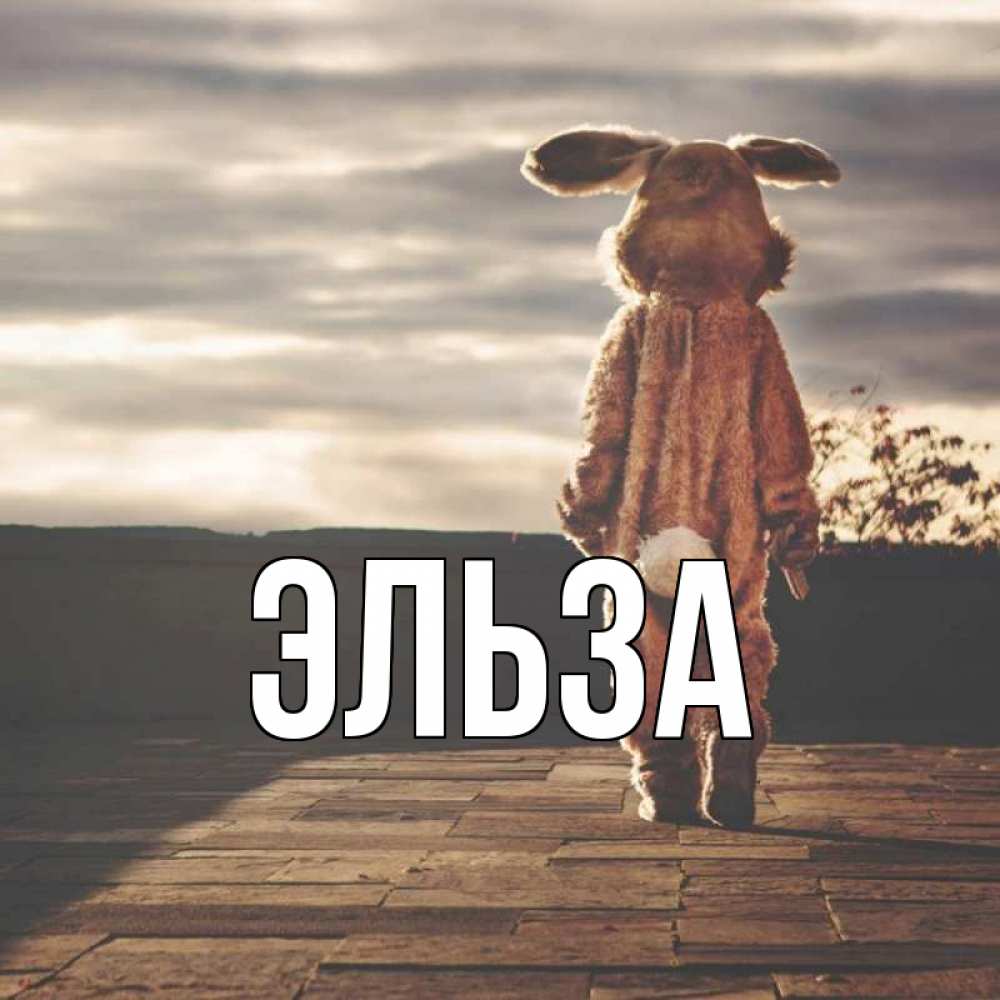 Открытка на каждый день с именем, Эльза Главная даже в костюме зайца Прикольная открытка с пожеланием онлайн скачать бесплатно 