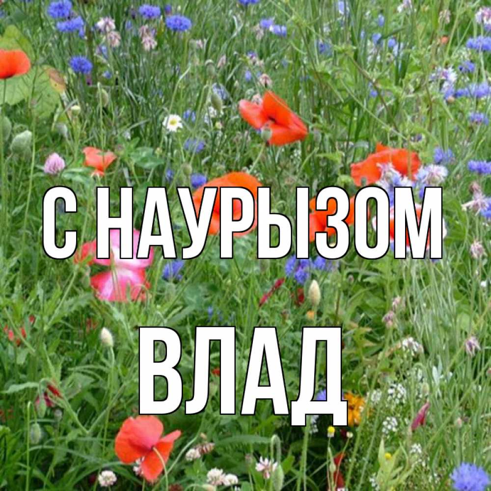 Картинка С наурызом, Влад