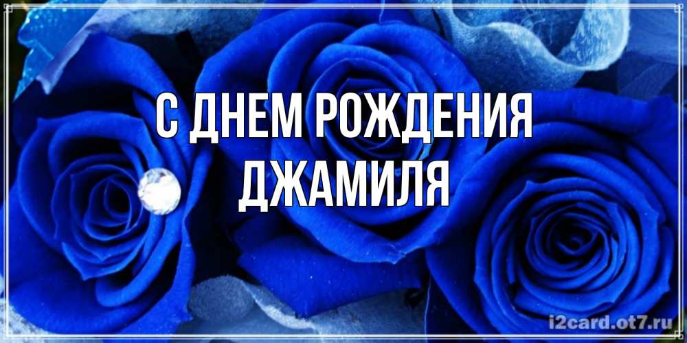 Открытка на каждый день с именем, Джамиля С днем рождения синие розы в росе Прикольная открытка с пожеланием онлайн скачать бесплатно 