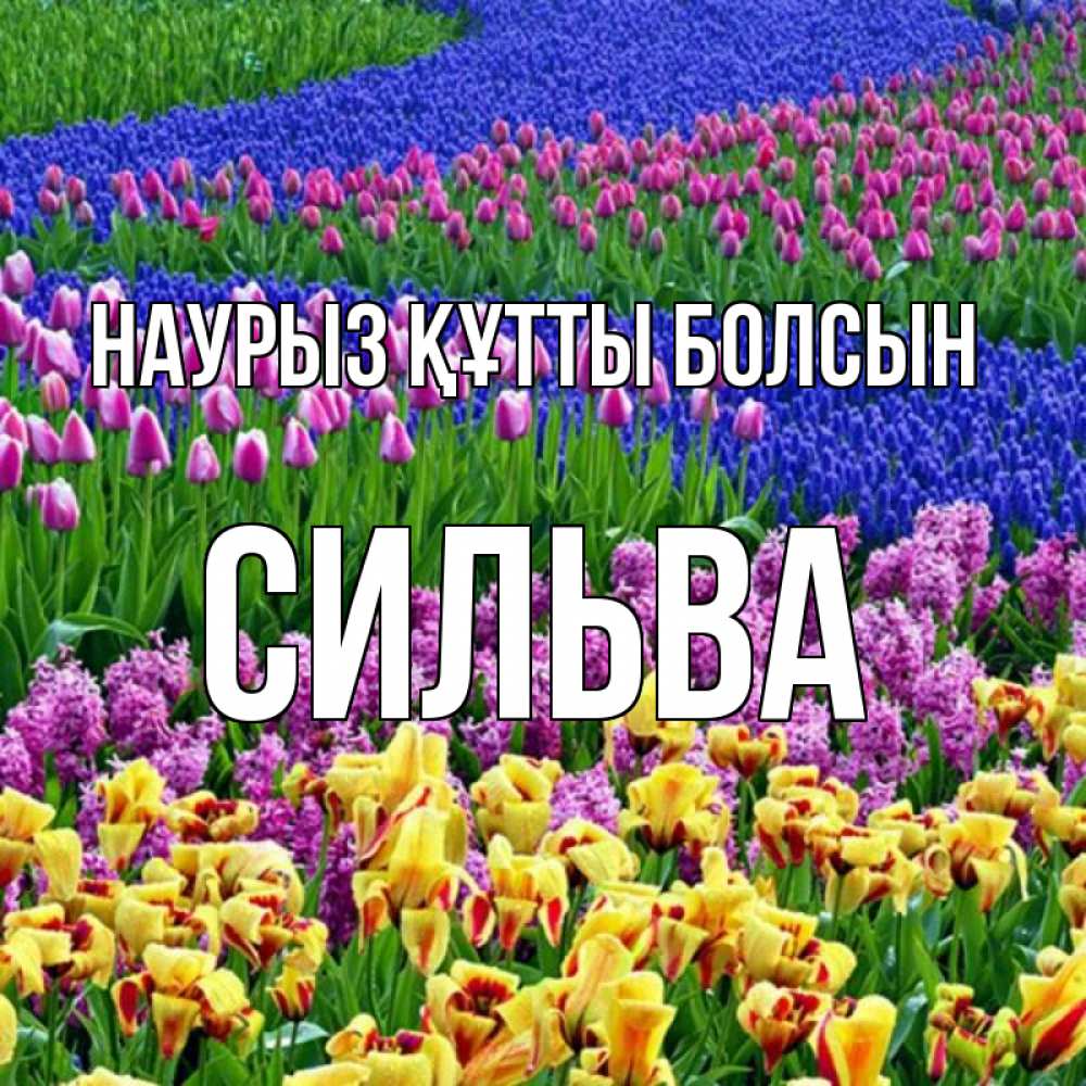 Открытка на каждый день с именем, Сильва Наурыз құтты болсын цветы Прикольная открытка с пожеланием онлайн скачать бесплатно 