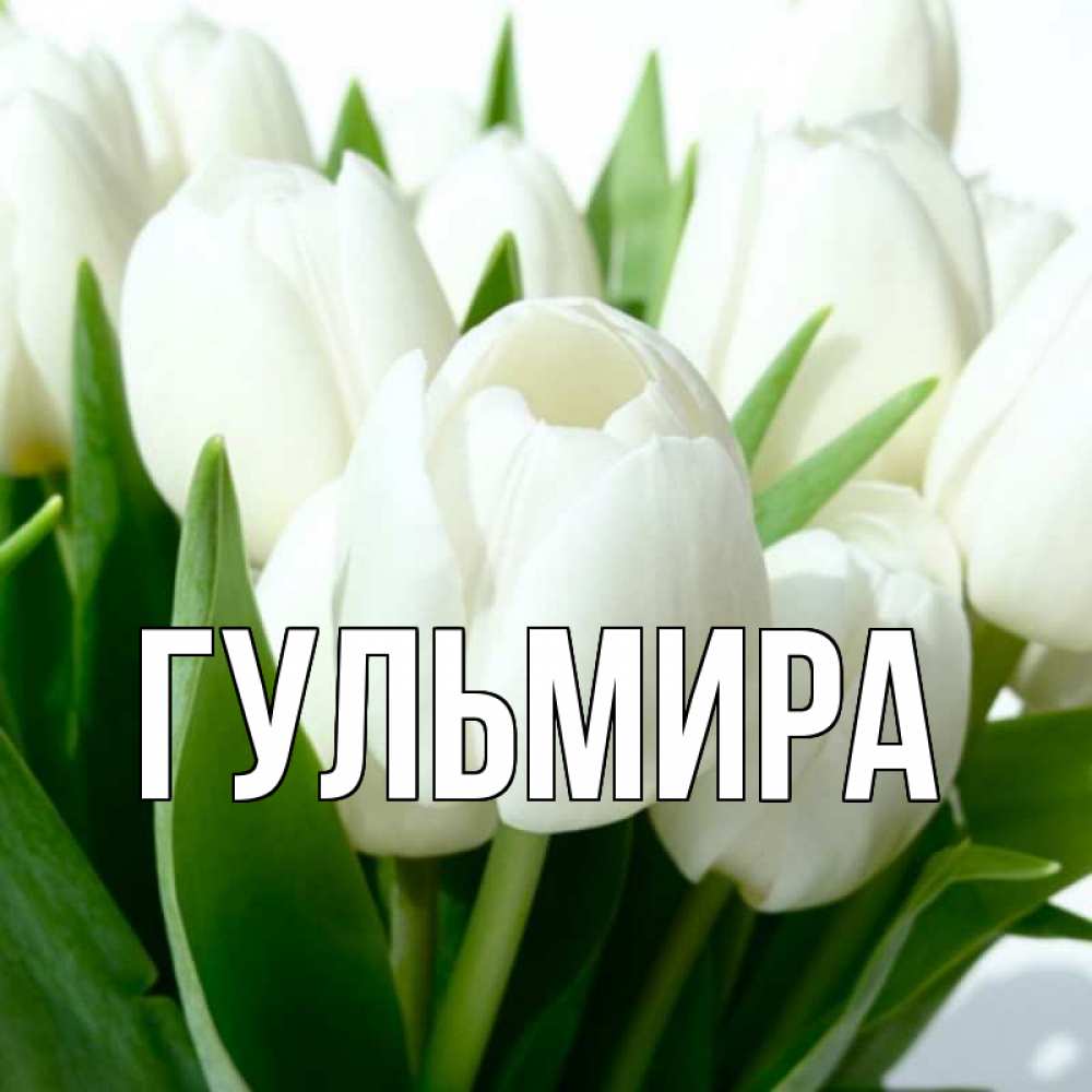 буду красивые картинки с именем гульмира трактор позволяет