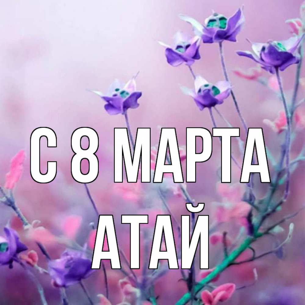 Открытка на каждый день с именем, Атай С 8 марта международный женский день 2 Прикольная открытка с пожеланием онлайн скачать бесплатно 