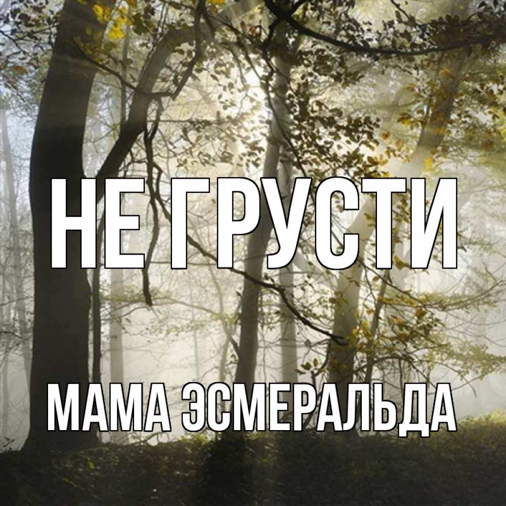 Открытка на каждый день с именем, Мама-Эсмеральда Не грусти лес и свет Прикольная открытка с пожеланием онлайн скачать бесплатно 