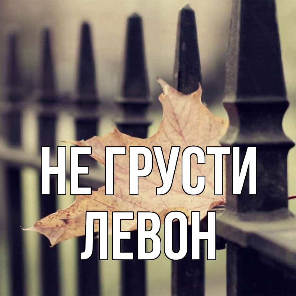 Открытка на каждый день с именем, Левон Не грусти лист клена Прикольная открытка с пожеланием онлайн скачать бесплатно 