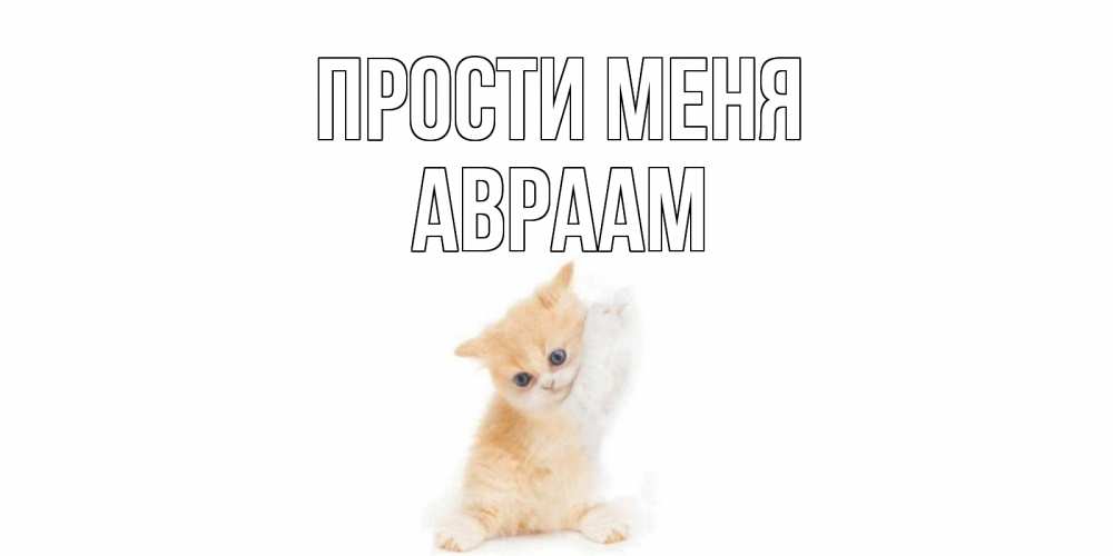 Открытка на каждый день с именем, Авраам Прости меня кот Прикольная открытка с пожеланием онлайн скачать бесплатно 