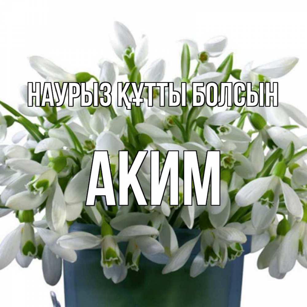 Открытка на каждый день с именем, Аким Наурыз құтты болсын цветы к наурызу Прикольная открытка с пожеланием онлайн скачать бесплатно 