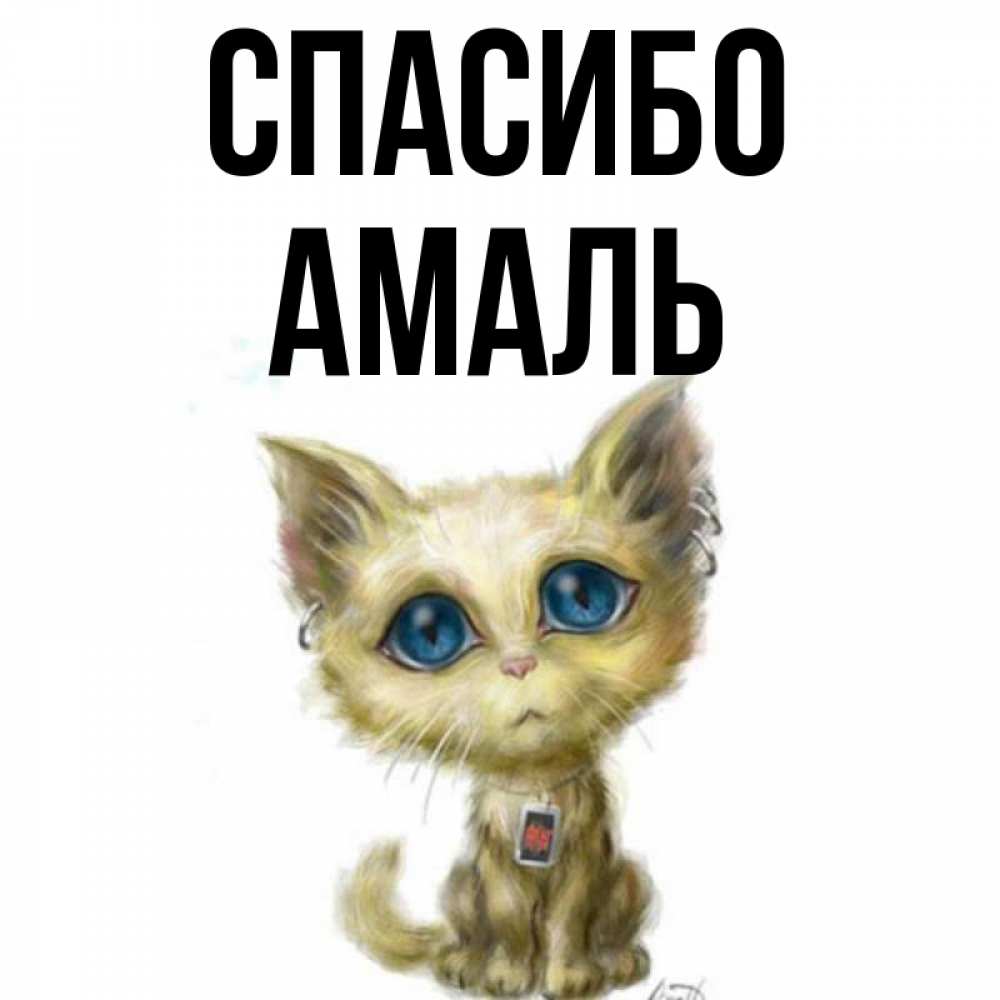 Открытка на каждый день с именем, Амаль Спасибо рисованный кот благодарит вас Прикольная открытка с пожеланием онлайн скачать бесплатно 