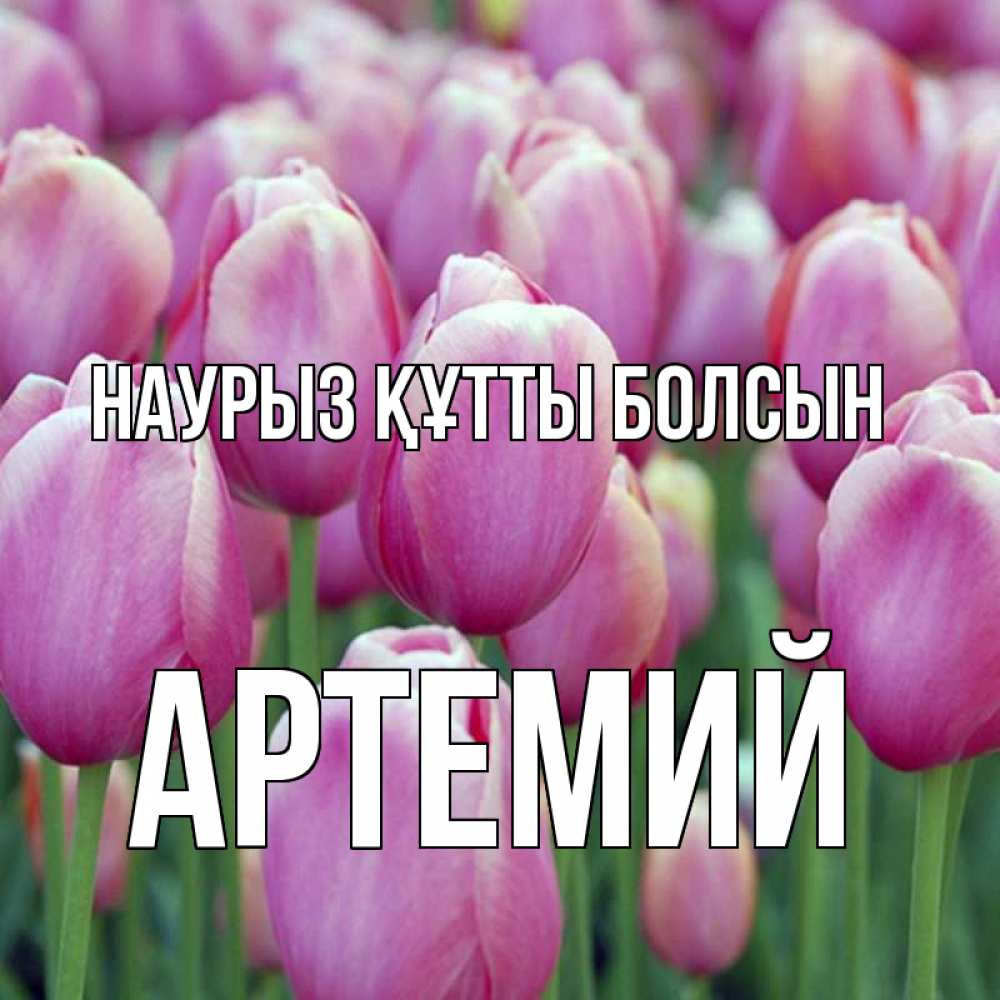 Открытка на каждый день с именем, Артемий Наурыз құтты болсын на наурыз  день 3 Прикольная открытка с пожеланием онлайн скачать бесплатно 