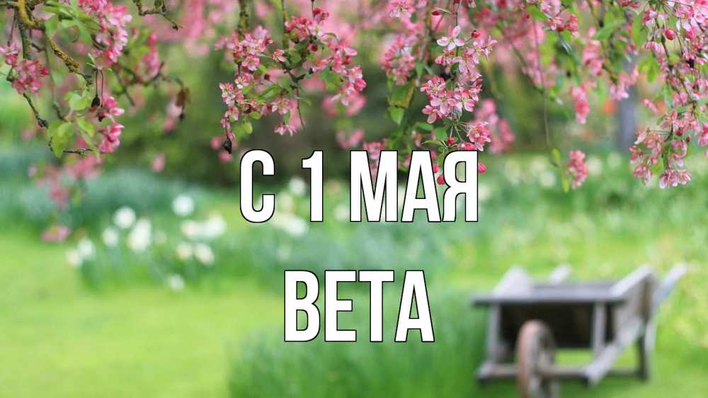 Открытка на каждый день с именем, Вета С 1 мая С 1 мая Прикольная открытка с пожеланием онлайн скачать бесплатно 