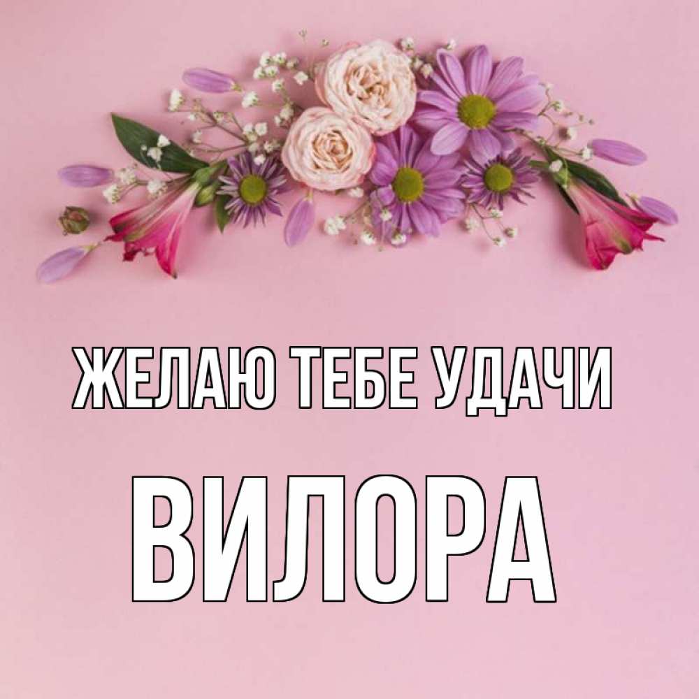 Открытка на каждый день с именем, Вилора Желаю тебе удачи розовый фон Прикольная открытка с пожеланием онлайн скачать бесплатно 
