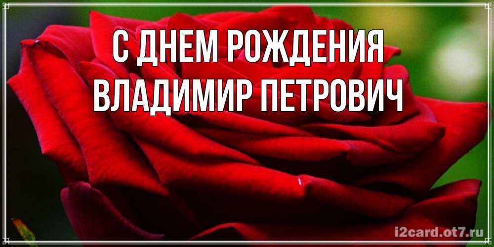 Открытка на каждый день с именем, Владимир-Петрович С днем рождения розочка очень красивая Прикольная открытка с пожеланием онлайн скачать бесплатно 