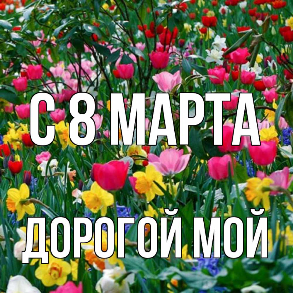 Открытка на каждый день с именем, Дорогой-мой С 8 МАРТА с международным женским днем поздравления для женщины Прикольная открытка с пожеланием онлайн скачать бесплатно 
