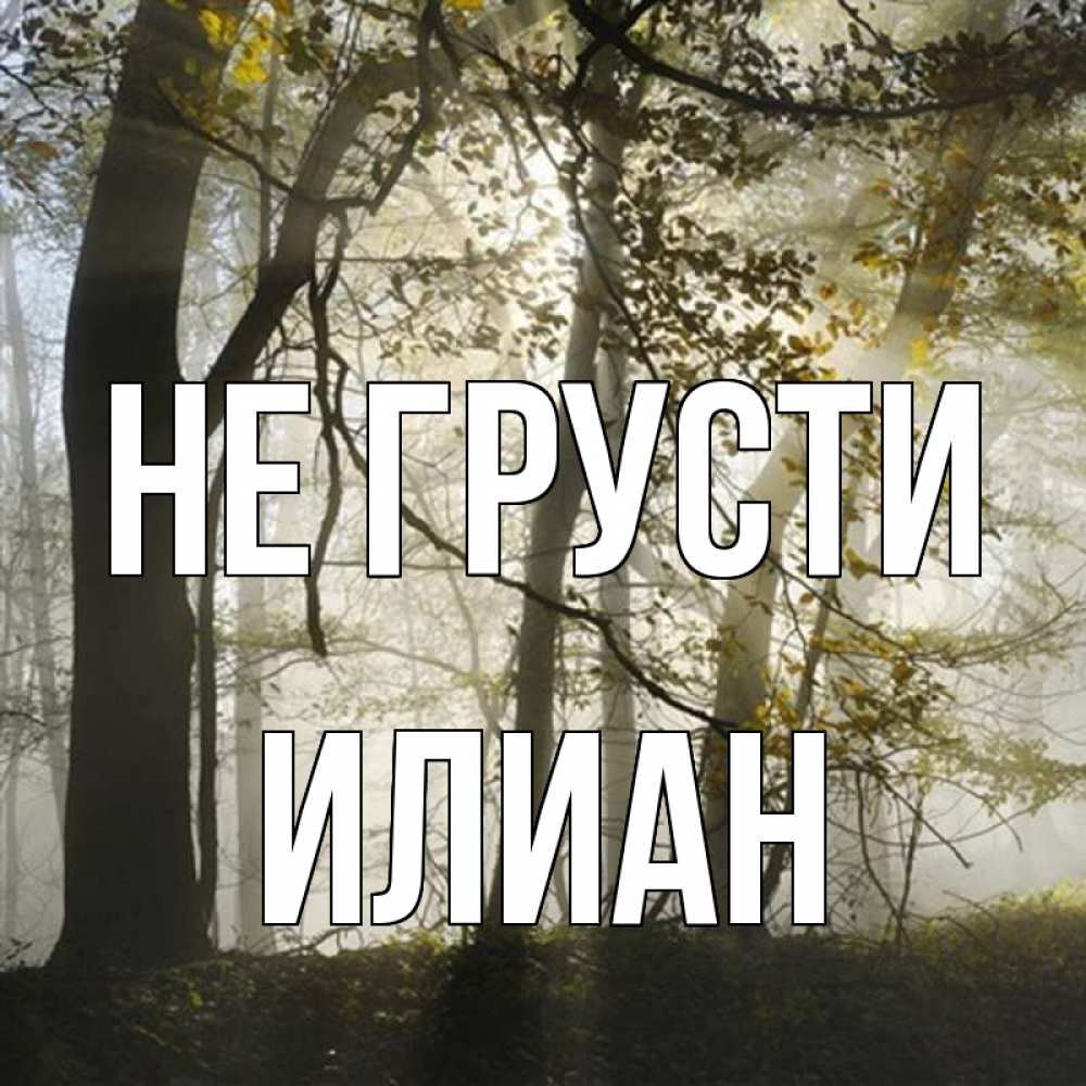 Открытка на каждый день с именем, Илиан Не грусти лес и свет Прикольная открытка с пожеланием онлайн скачать бесплатно 