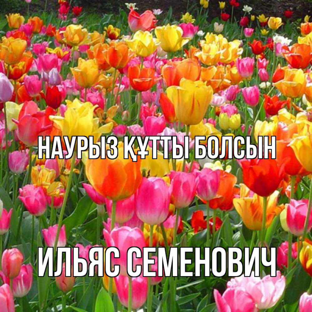 Картинка Наурыз құтты болсын, Ильяс Семенович