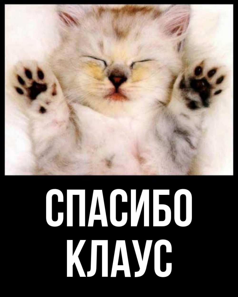 Открытка на каждый день с именем, Клаус Спасибо маленький котенок Прикольная открытка с пожеланием онлайн скачать бесплатно 