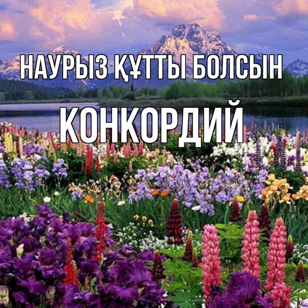 Открытка на каждый день с именем, Конкордий Наурыз құтты болсын наурыз Прикольная открытка с пожеланием онлайн скачать бесплатно 