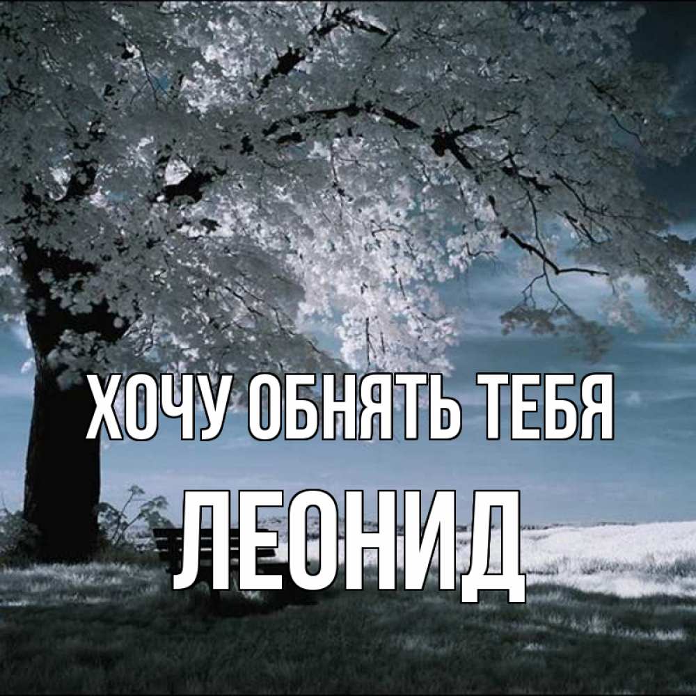 Открытка на каждый день с именем, Леонид Хочу обнять тебя дерево Прикольная открытка с пожеланием онлайн скачать бесплатно 