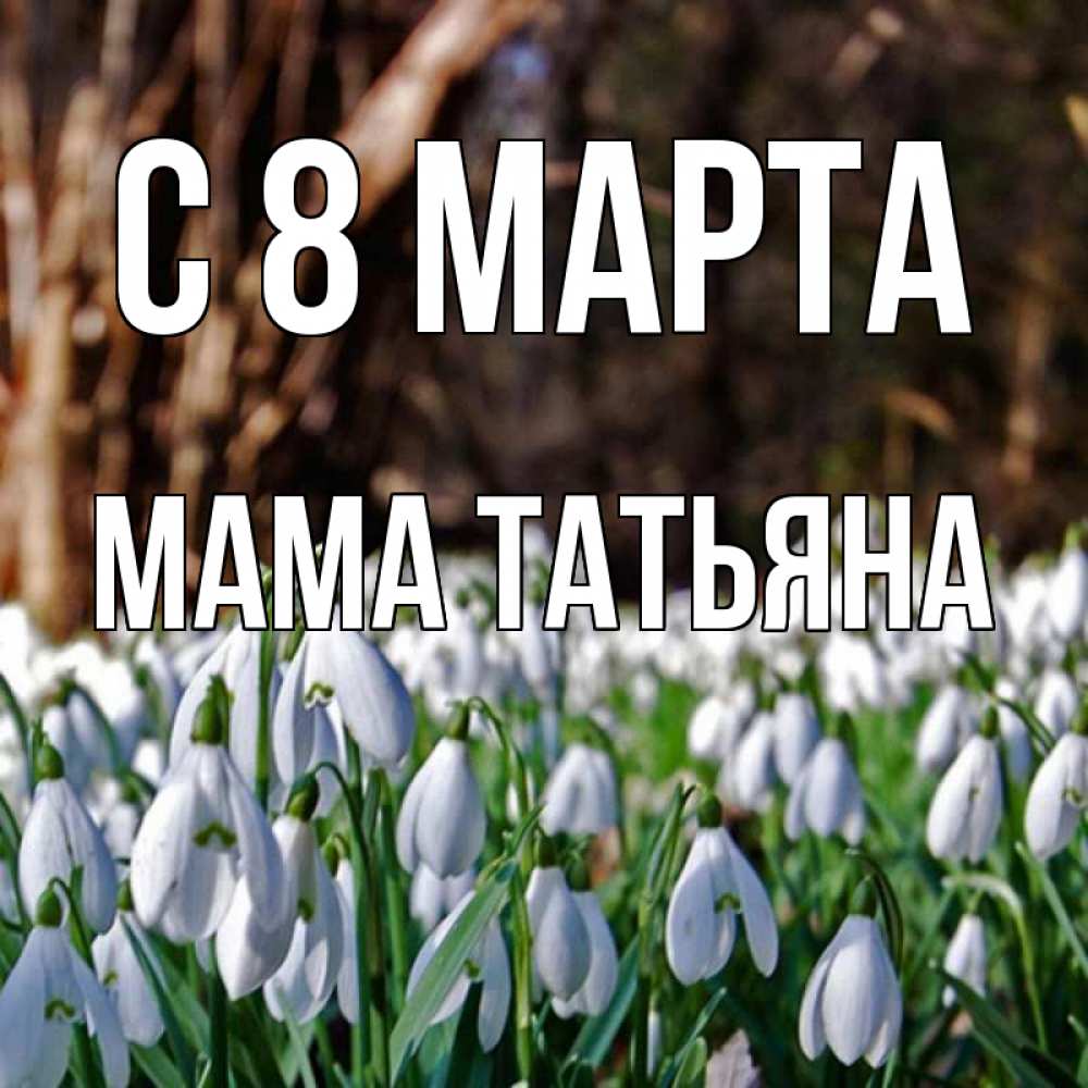 Открытка на каждый день с именем, Мама-Татьяна С 8 марта с подснежниками 1 Прикольная открытка с пожеланием онлайн скачать бесплатно 