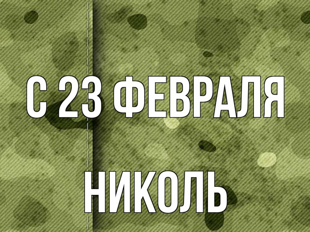 Открытка на каждый день с именем, Николь С 23 февраля 23 февраля Прикольная открытка с пожеланием онлайн скачать бесплатно 