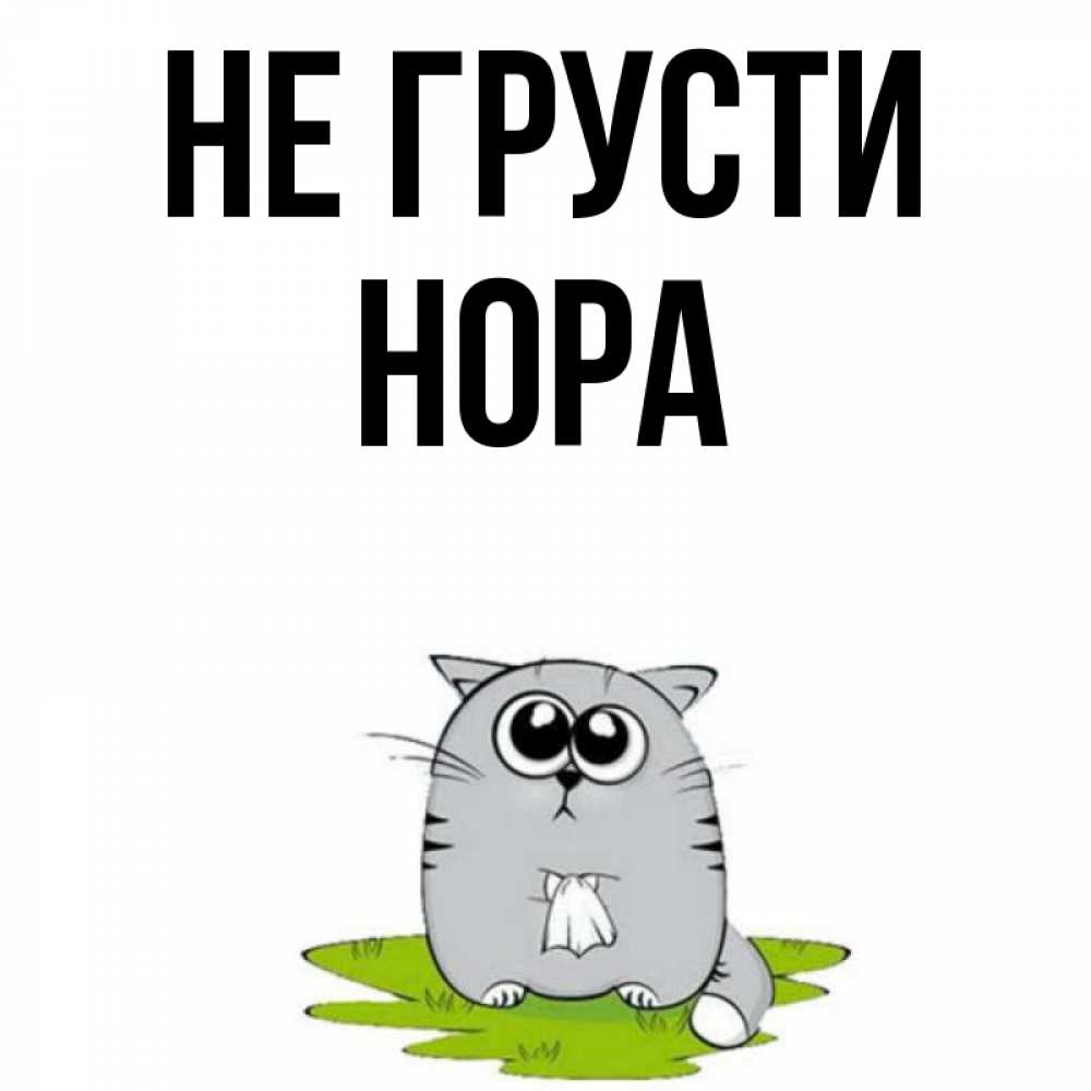 Открытка на каждый день с именем, Нора Не грусти грустный котяра Прикольная открытка с пожеланием онлайн скачать бесплатно 