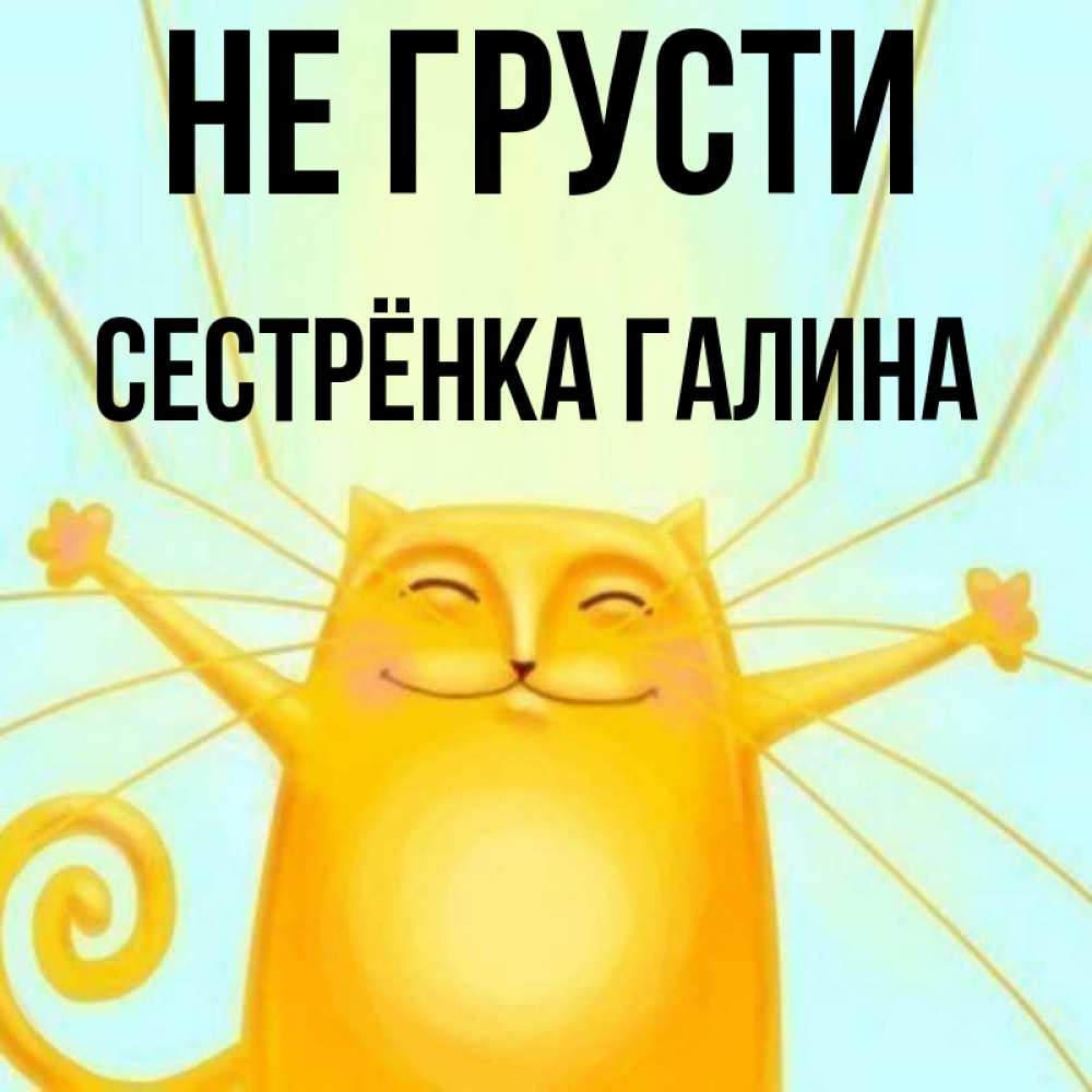 Открытка на каждый день с именем, Сестрёнка-Галина Не грусти обнимашки усатые Прикольная открытка с пожеланием онлайн скачать бесплатно 