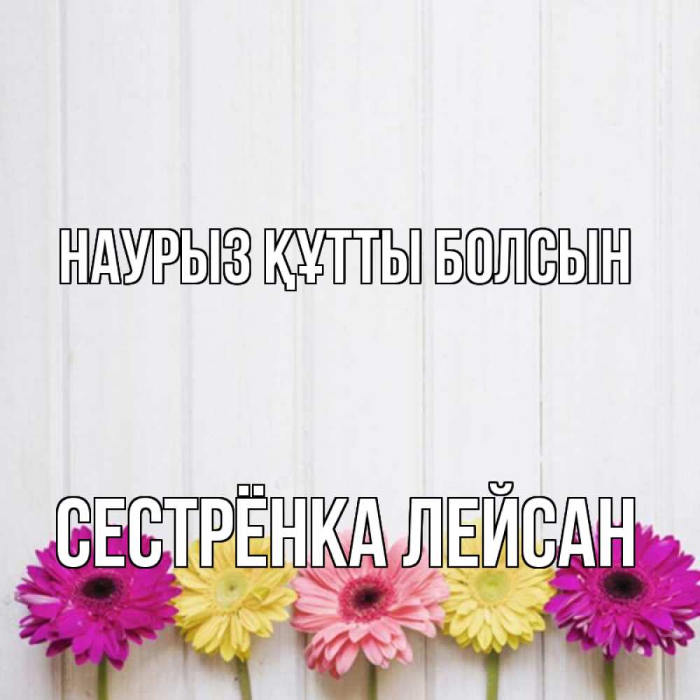 Открытка на каждый день с именем, Сестрёнка-Лейсан Наурыз құтты болсын женщинам 1 Прикольная открытка с пожеланием онлайн скачать бесплатно 