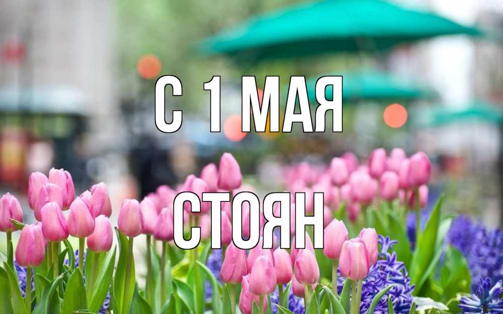 Открытка на каждый день с именем, Стоян С 1 мая С 1 мая Прикольная открытка с пожеланием онлайн скачать бесплатно 