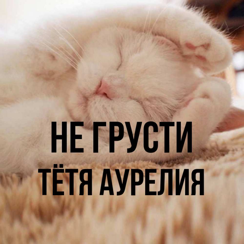 Открытка на каждый день с именем, Тётя-Аурелия Не грусти Котенок спит Прикольная открытка с пожеланием онлайн скачать бесплатно 