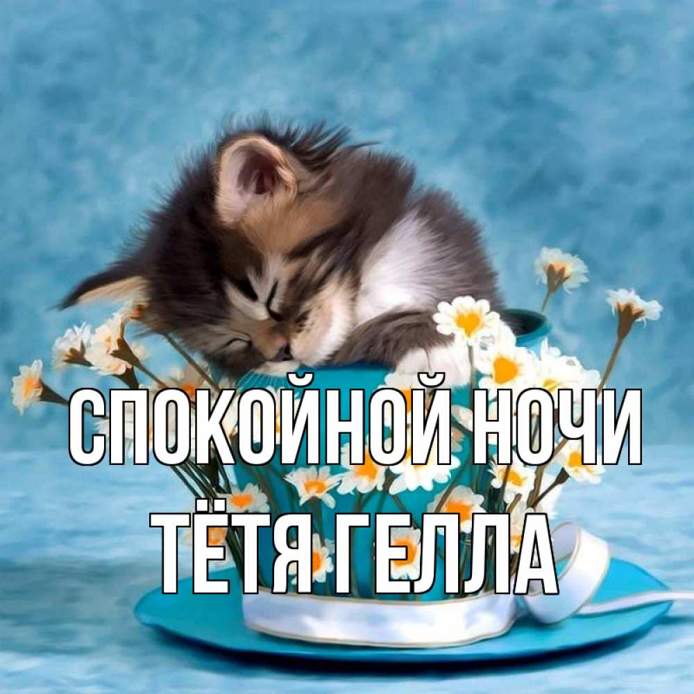 Открытка на каждый день с именем, Тётя-Гелла Спокойной ночи котенок спит в кружке с блюдцем Прикольная открытка с пожеланием онлайн скачать бесплатно 