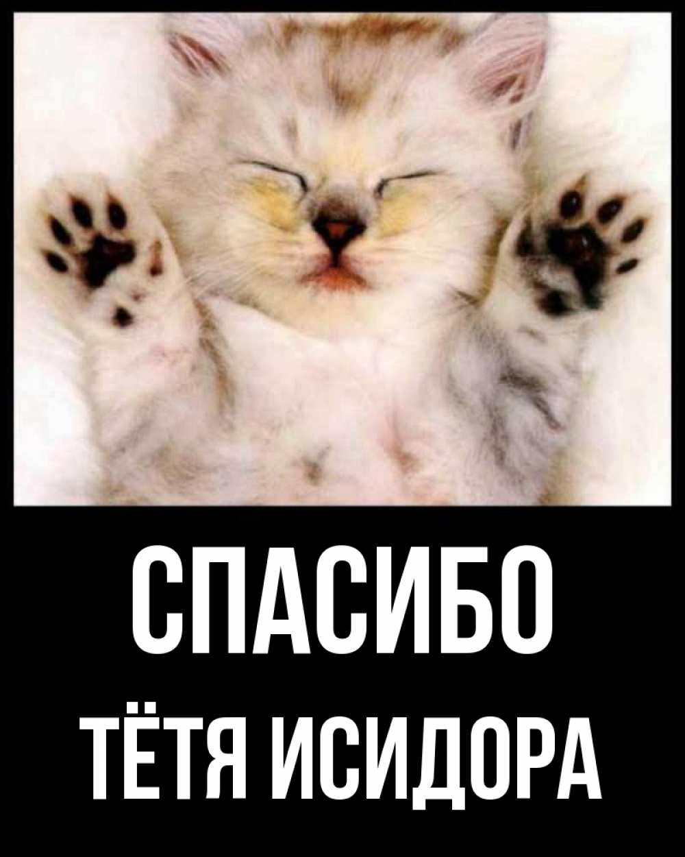 Открытка на каждый день с именем, Тётя-Исидора Спасибо маленький котенок Прикольная открытка с пожеланием онлайн скачать бесплатно 