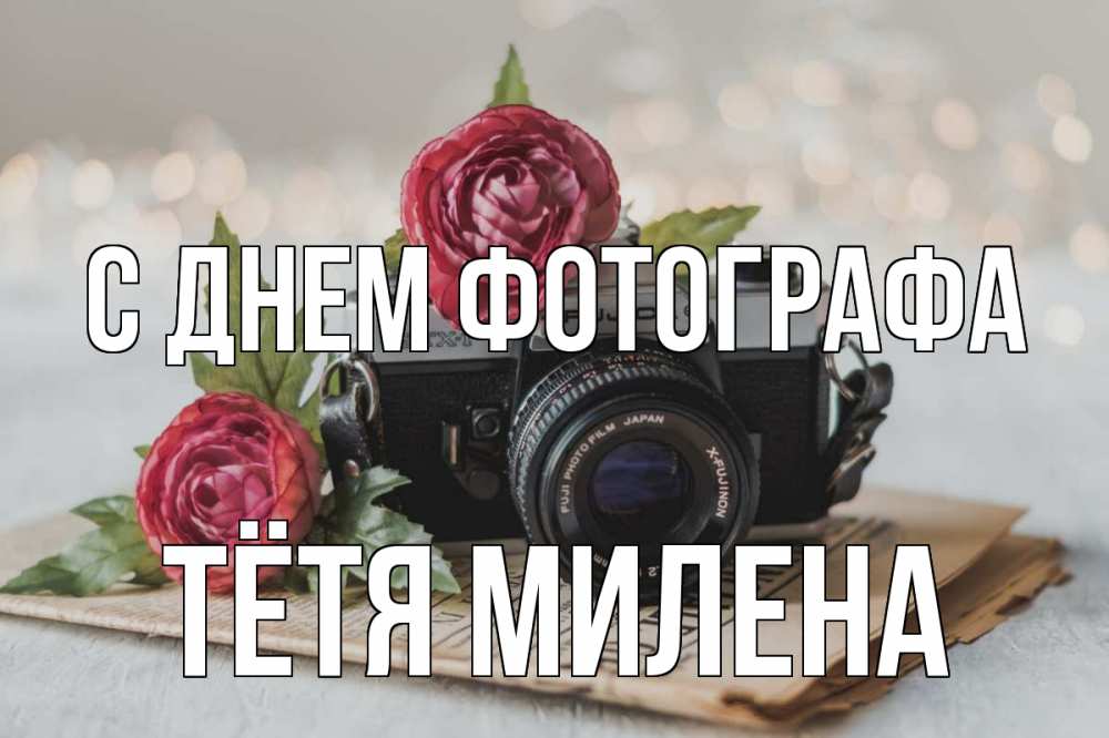 Открытка на каждый день с именем, Тётя-Милена С днем фотографа с днем фотографа Прикольная открытка с пожеланием онлайн скачать бесплатно 