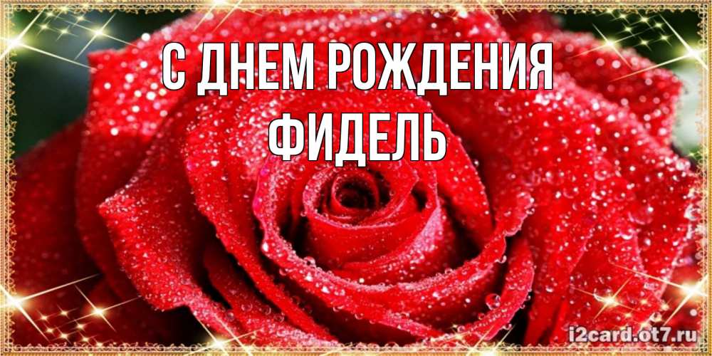 Открытка на каждый день с именем, Фидель С днем рождения роса и роза. открытка с красивой розой Прикольная открытка с пожеланием онлайн скачать бесплатно 