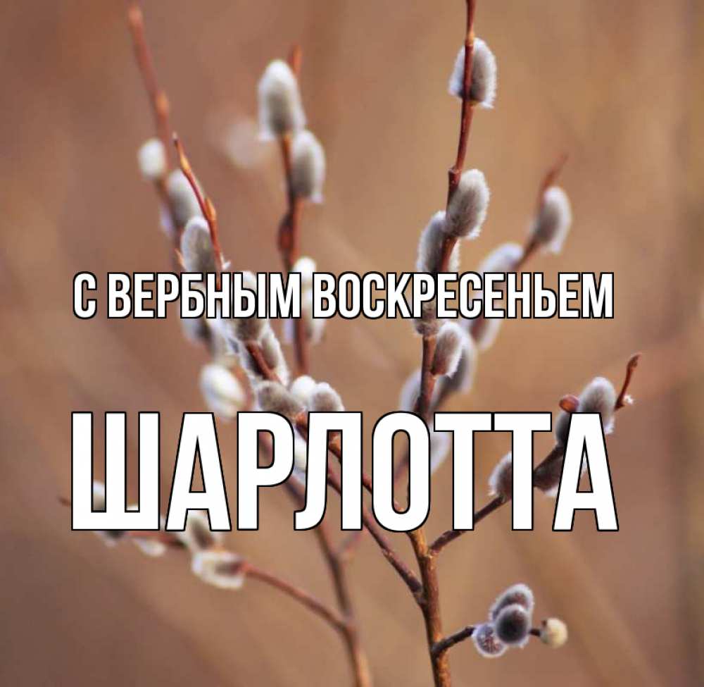 Открытка на каждый день с именем, Шарлотта С вербным воскресеньем верба Прикольная открытка с пожеланием онлайн скачать бесплатно 