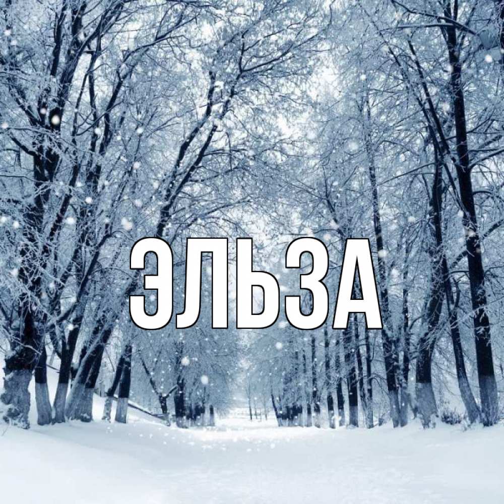 Открытка на каждый день с именем, Эльза Главная снег, лес, парк Прикольная открытка с пожеланием онлайн скачать бесплатно 