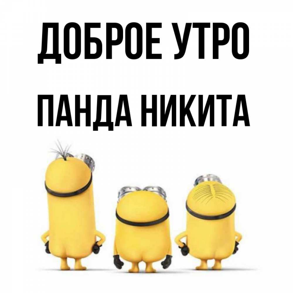 Открытка на каждый день с именем, панда-Никита Доброе утро подписать открытку онлайн бесплатно Прикольная открытка с пожеланием онлайн скачать бесплатно 