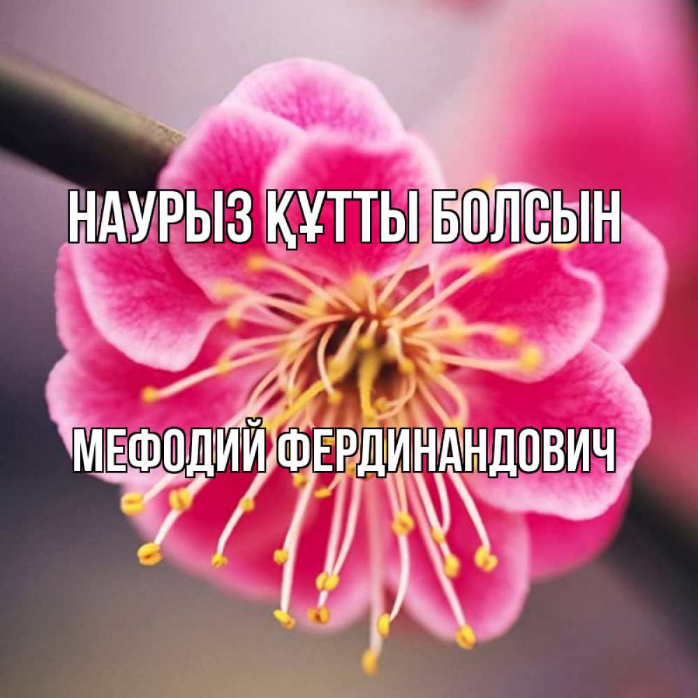 Открытка с именем, Мефодий Фердинандович, Наурыз құтты болсын