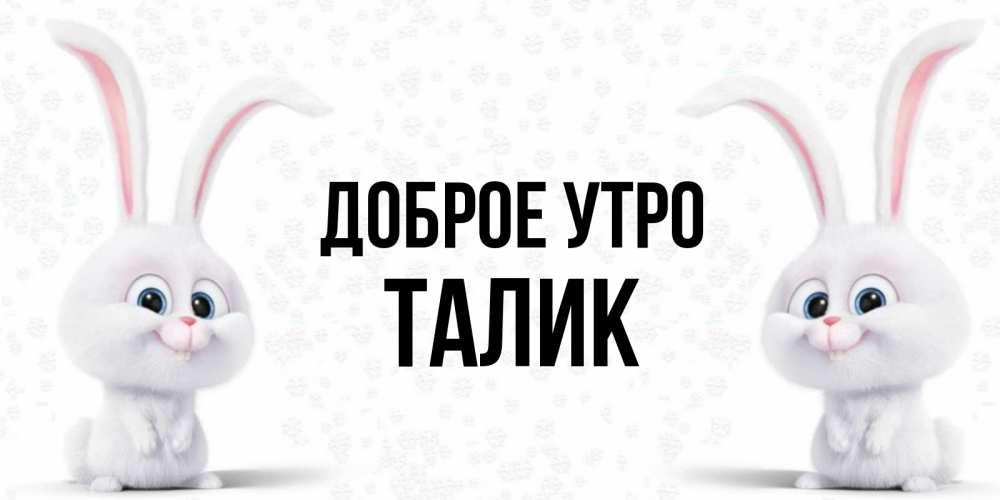 Открытка на каждый день с именем, Талик Доброе утро кролики с длинными ушками Прикольная открытка с пожеланием онлайн скачать бесплатно 