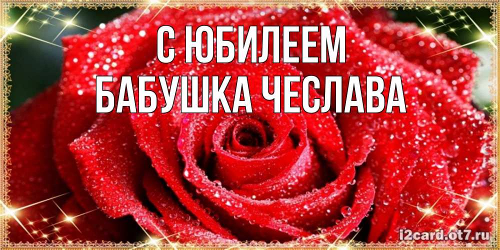 Открытка на каждый день с именем, Бабушка-Чеслава С юбилеем роса и роза. открытка с красивой розой Прикольная открытка с пожеланием онлайн скачать бесплатно 