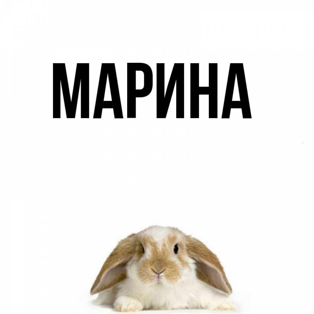 Открытка на каждый день с именем, Марина Главная подписать своими руками онлайн Прикольная открытка с пожеланием онлайн скачать бесплатно 