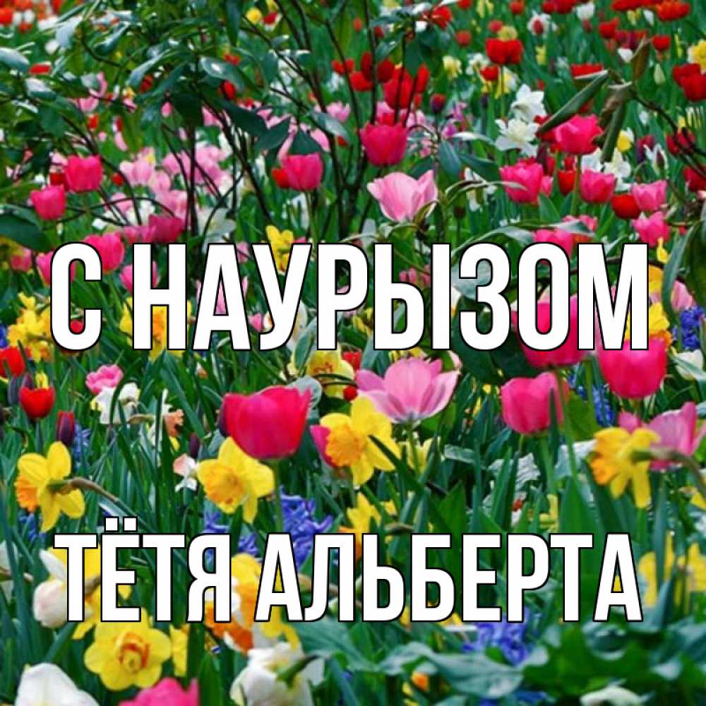 Открытка на каждый день с именем, Тётя-Альберта С наурызом с наурызом праздником весны поздравления для женщины Прикольная открытка с пожеланием онлайн скачать бесплатно 